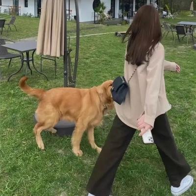 荒谬无稽