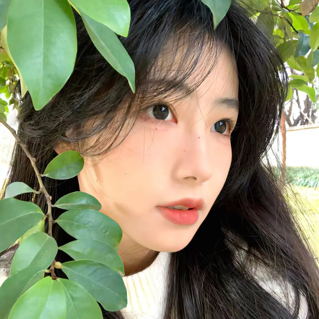拉古莱特的夏天